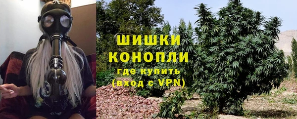 ПСИЛОЦИБИНОВЫЕ ГРИБЫ Переславль-Залесский
