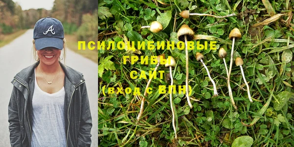 молекула духа Абаза