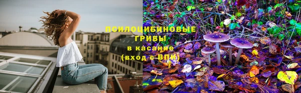 spice Алексин