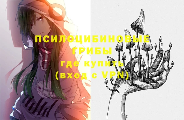 дживик Абинск